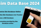 SIM Database 2024
